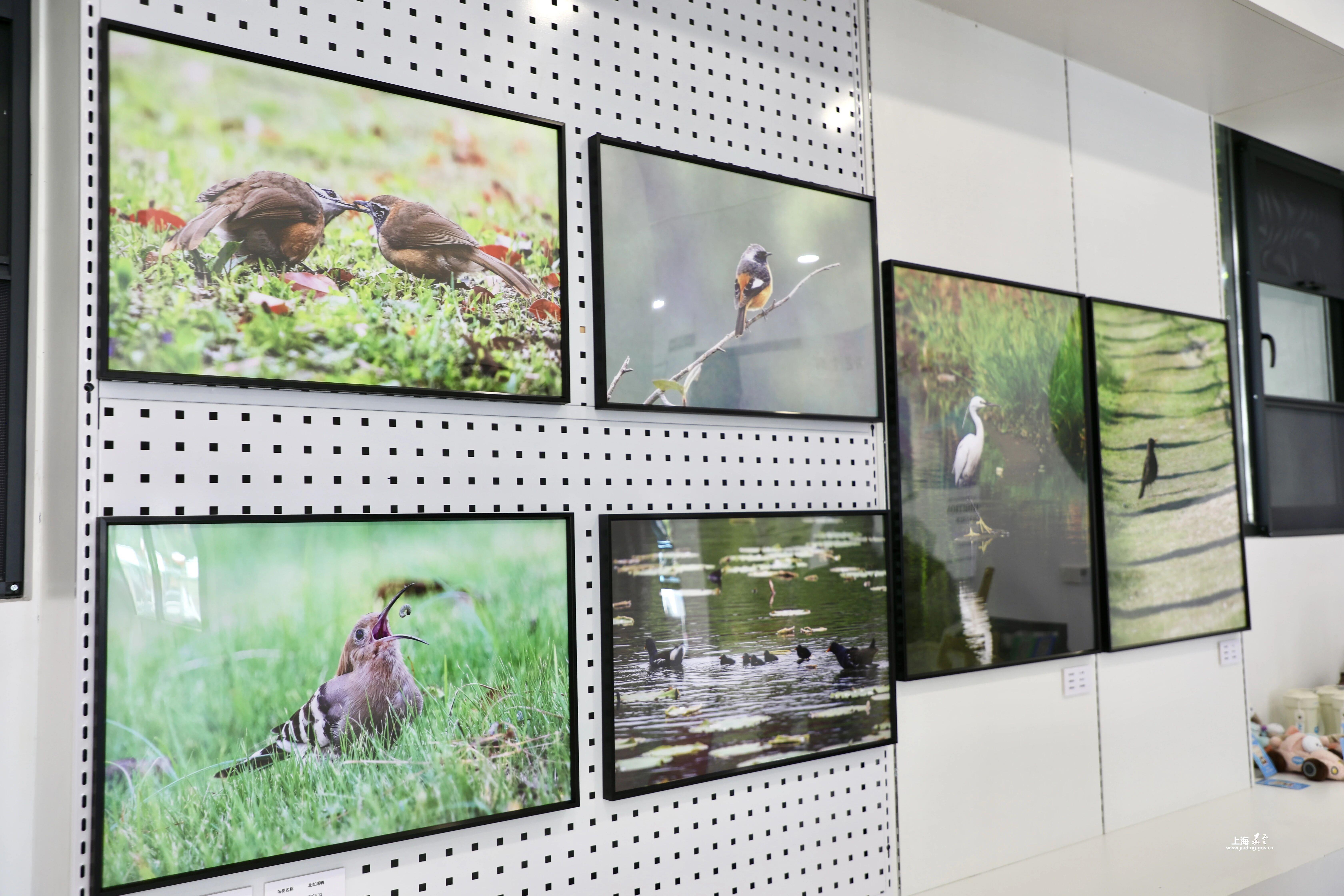 1311c02108f94253b396f481ee885129.jpg 1311c02108f94253b396f481ee885129.jpg