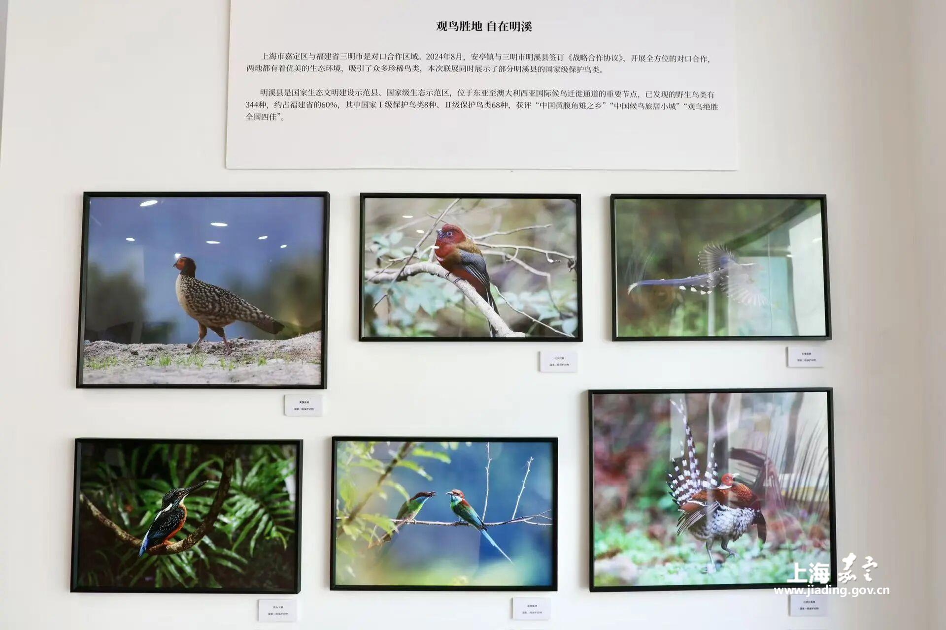 1e257c4e18c9420dac1d639e10194545.jpg 1e257c4e18c9420dac1d639e10194545.jpg