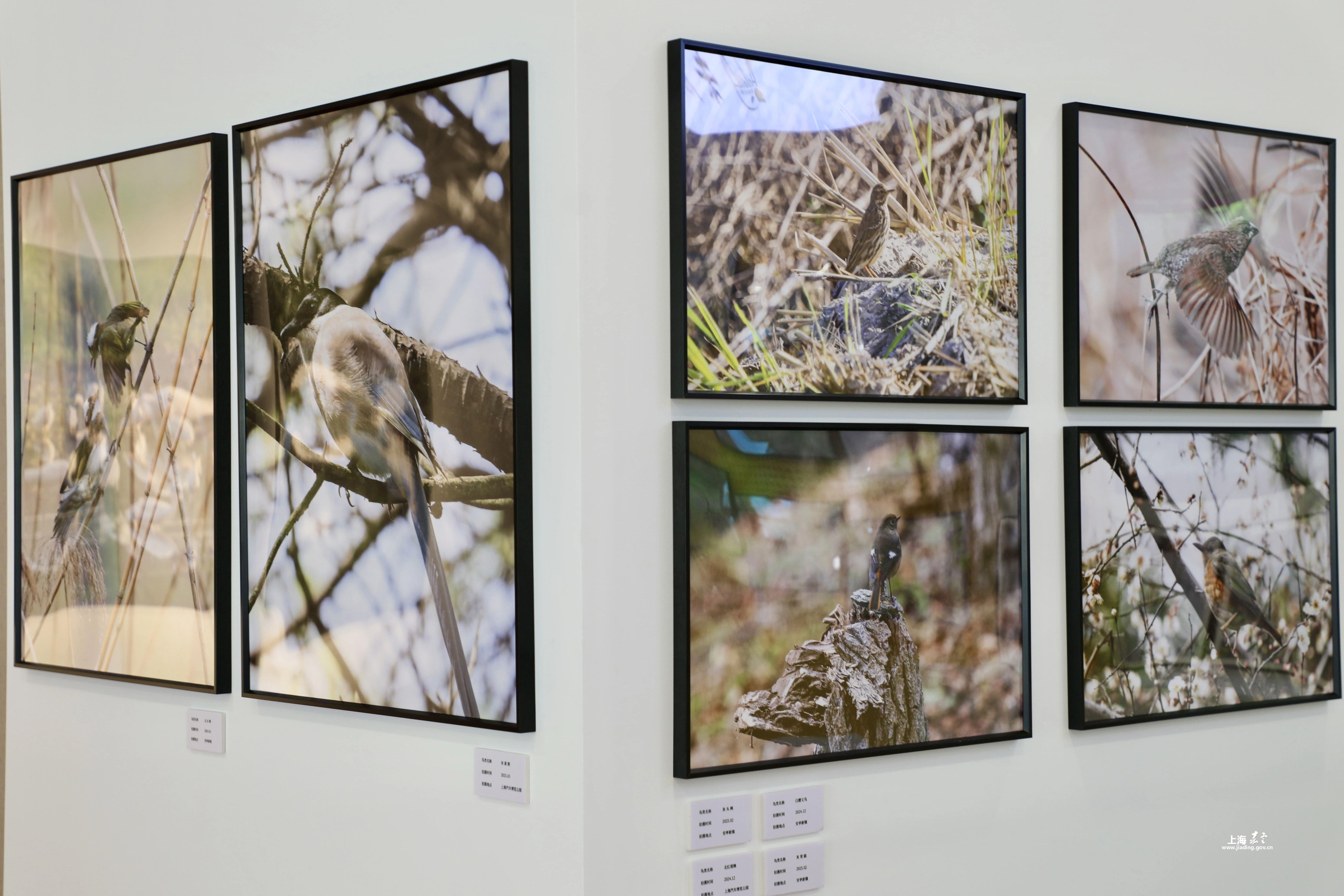 2cf772bf280f4f2daf22a4e93c407686.jpg 2cf772bf280f4f2daf22a4e93c407686.jpg